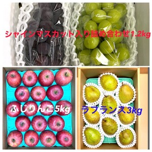 yցFSRzt[cZbgiVC}XJbglߍ킹ԂǂAEtXA񂲁j@0065-2602