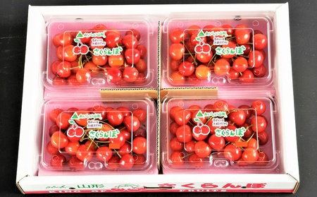 ځiтgGjVQOiPWO×SpbNj@t[hpbN@0020-2607