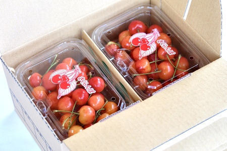 ځiтgGjPWO×SpbN@ƒp@0052-2603