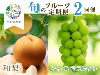 [定期便:全2回]旬のフルーツ定期便(和梨、シャインマスカット)