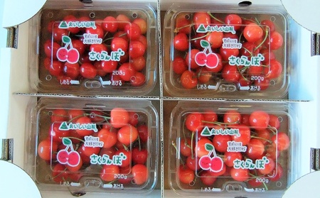 ځiсjQOO×SpbN@ƒp@0112-2612