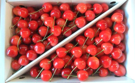 ځiсjP@ƒp@0112-2613