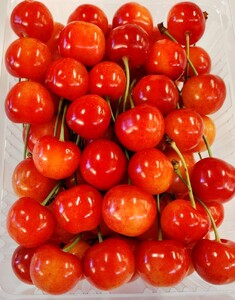 ځiсjTOO@ϔ@0030-2606