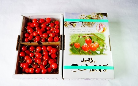 ځiсjPiTOO×QpbNj@lʁ@Gi@0012-2601