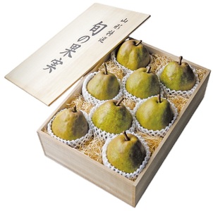 ʌ聄miEtXjRyɂ݁z˔@Sk@Wʁ@0044-2508