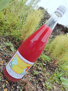 Bisou delaware(デラウェアジュース)720ml