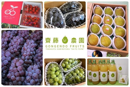 [定期便:全6回]旬の特選フルーツ定期便