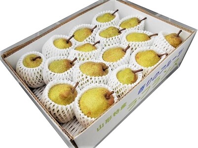 miEtXjT@0040-2504