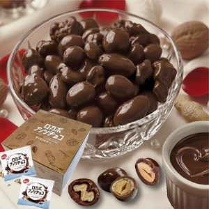 ロカボナッツチョコ 小袋タイプ 1kg