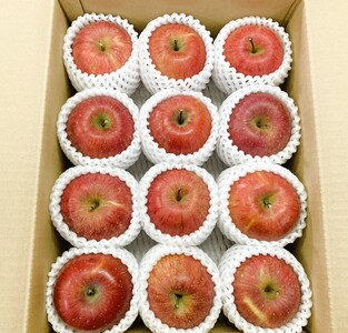 りんご(サンふじ)3kg 9〜13個 秀品・ご家庭用混合