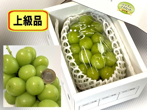 大粒シャインマスカット(上級品) 1房 780g以上