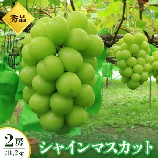 シャインマスカット　２房　合計１.２ｋｇ　0049-2607