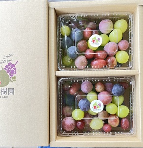 ぶどうの宝石箱(品種いろいろ、粒のみ詰合せ) 500g×2パック