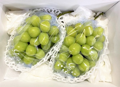 ぶどう（シャインマスカット）１.５ｋｇ　0126-2601