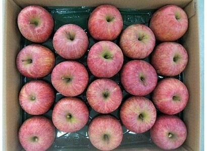 りんご（サンふじ）５ｋｇ　１１～２０玉　ご家庭用　0056-2322