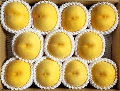 yʌziM܁jR@Gi@0106-2602