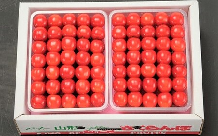 ځiтgGjTOO×QpbN@l߁@0020-2610