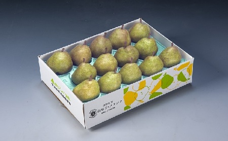 miEtXjT@0020-2513