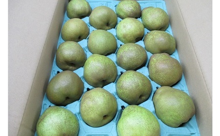 miEtXjT@0110-2508