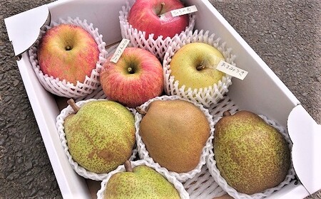 ラ・フランスとりんご２品種以上の詰合せ　３ｋｇ　ご家庭用　0075-2311