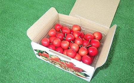 ځiтgGjTOO@QkTCY@0032-2601