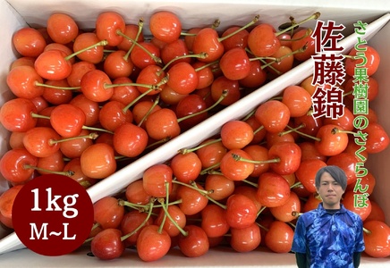 さくらんぼ（佐藤錦）１ｋｇ　ご家庭用　0136-2602