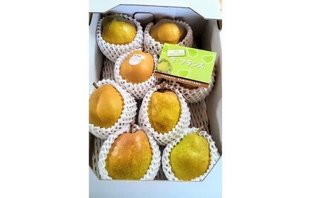 miEtXjR@Gi@0044-2505