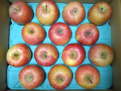 りんご（ふじ）５ｋｇ　ご家庭用　0017-2426