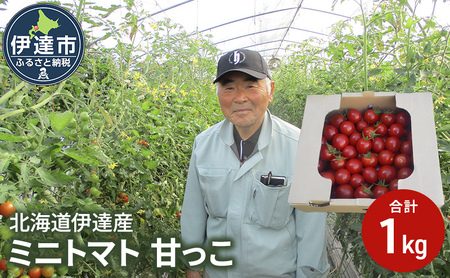 北海道伊達産 ミニトマト 甘っこ 1kg とまと 甘い 野菜 やさい 人気 新鮮 産地直送 農家直送 先行受付