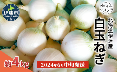 [2024年6月中旬発送]白玉ねぎ 4kg 北海道 伊達産 タマネギ 玉葱 サラダ