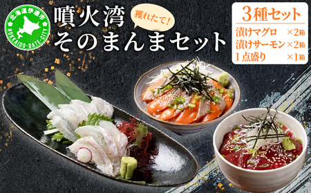 噴火湾そのまんま 漬けマグロ2箱、漬けサーモン2箱、お刺身1点盛り1箱の計5箱 旬菜一鮮 だて大和屋 厳選 魚介 海鮮 刺身 刺し身 小分け 新鮮 魚介類 魚貝類 加工食品 贈答 ギフト 贈り物 ご褒美