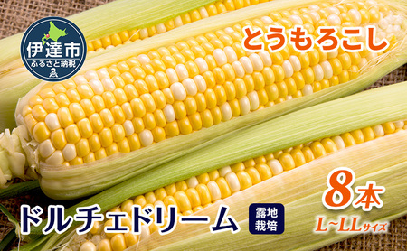 とうもろこし ドルチェドリーム L〜LLサイズ 8本 露地 栽培 バイカラー スイートコーン 北海道 伊達市 生産者 直送 新鮮 宍戸農園 [オンライン決済限定]