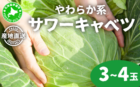 やわらか系サワーキャベツ 3〜4玉