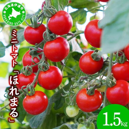 ＜先行予約＞ミニトマト ほれまる 1.5kg【ffk-001】