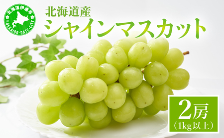 シャインマスカット 2房(1kg以上)化粧箱入り