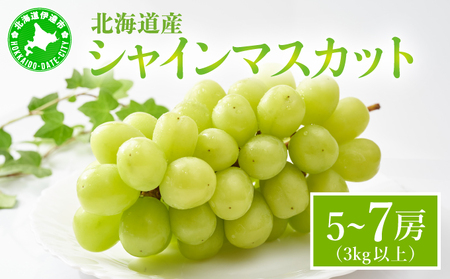 シャインマスカット 5〜7房(3kg以上)箱