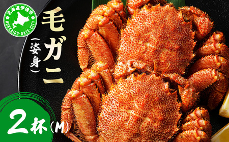 уKjipgjMTCY 2 ogm-016