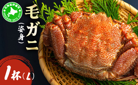 уKjipgjLTCY 1@ogm-017