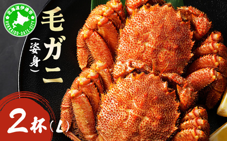 уKjipgjLTCY 2 ogm-018