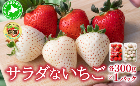 ��2026�N��s�\�� �T���_�Ȃ������i�ԁE���j�yecg-003�z