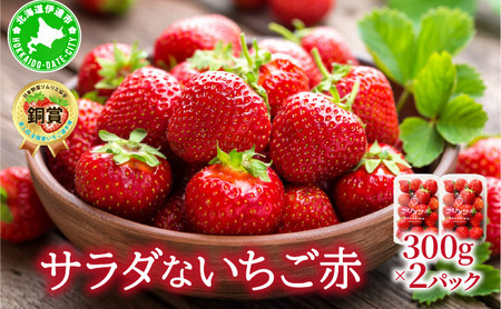 ��2026�N��s�\�� �T���_�Ȃ������i�ԁj�yecg-002�z