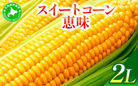 [2026年7月中旬〜順次お届け] スイートコーン・恵味(2Lサイズ)[dnk-003]とうもろこし コーン スイートコーン 野菜 伊達野菜 サラダ 北海道 伊達市