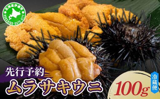 [先行予約] 北海道産 ムラサキウニ(正規品)[ogm-027]うに 海鮮 国産 北海道 伊達 ふるさと納税