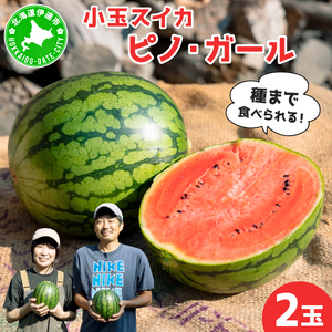 [先行予約] 小玉スイカ[tom-001]