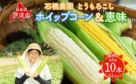 北海道 朝もぎ とうもろこし 恵味 ホイップコーン 各5本 計10本 L-LL サイズ 黄色 白色 トウモロコシ 黄 白 とうきび コーン 旬 完熟 甘い お取り寄せ 産地直送 北海道産