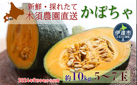 伊達[木須農園]のかぼちゃ[ダークホース]約10kg