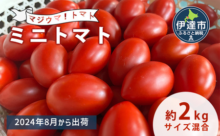 ◆2024年8月より順次出荷◆北海道 伊達 岡本園芸 ミニトマト 高糖度 約2kg[マジウマ!トマト]