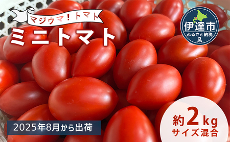 ◆2025年8月より順次出荷◆北海道 伊達 岡本園芸 ミニトマト 高糖度 約2kg[マジウマ!トマト]