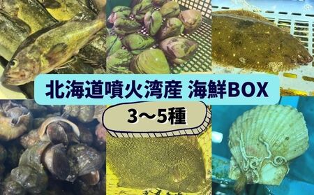 北海道 伊達 噴火湾 水揚げ 今野水産 新鮮 活締め 海鮮 BOX 3〜5種セット