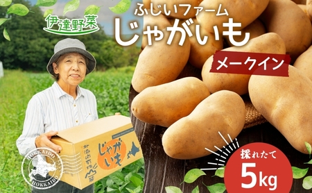 北海道産 じゃがいも メークイン 約5kg ジャガイモ 馬鈴薯 ポテト 芋 イモ 旬 産地直送 国産 野菜 農作物 甘い ホクホク しっとり 煮物 カレー 肉じゃが 人気 ふじいファーム 送料無料